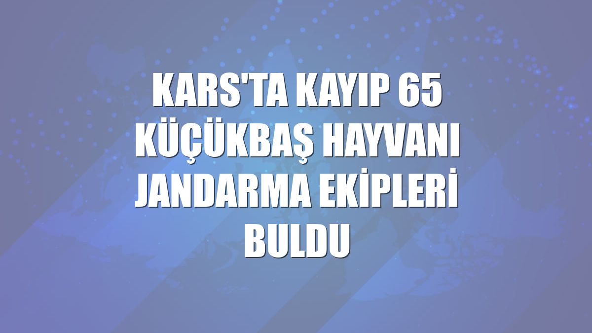 Kars'ta kayıp 65 küçükbaş hayvanı jandarma ekipleri buldu