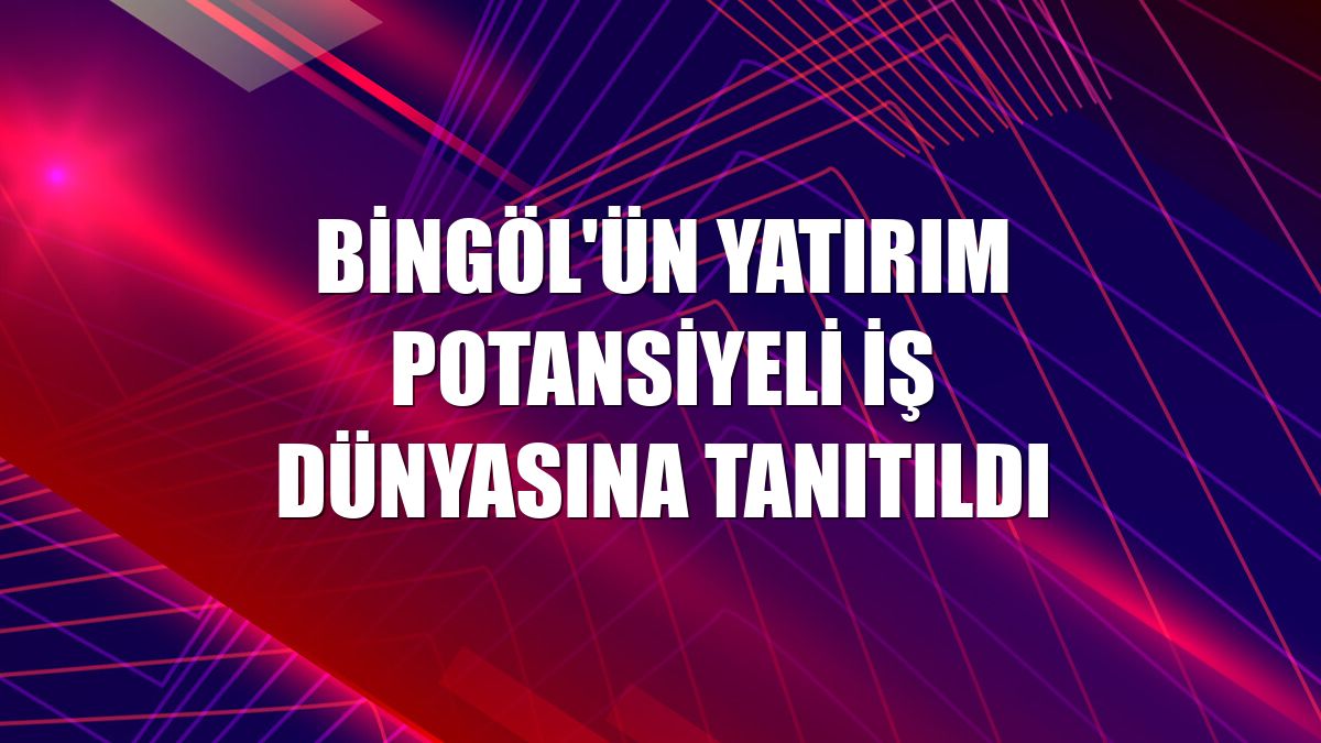 Bingöl'ün yatırım potansiyeli iş dünyasına tanıtıldı