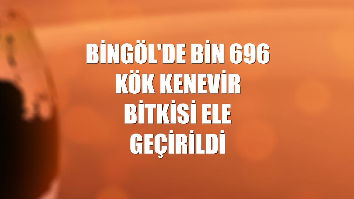 Bingöl'de bin 696 kök kenevir bitkisi ele geçirildi
