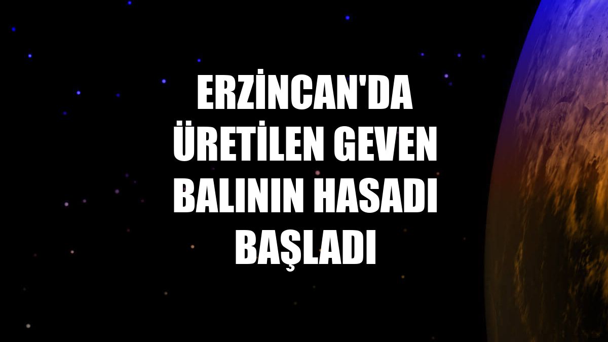 Erzincan'da üretilen geven balının hasadı başladı
