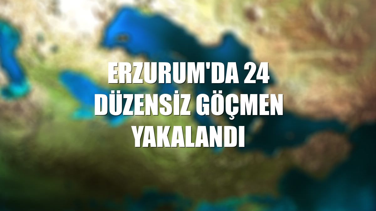Erzurum'da 24 düzensiz göçmen yakalandı