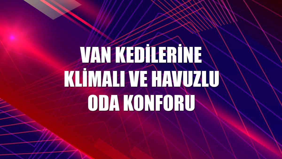 Van kedilerine klimalı ve havuzlu oda konforu