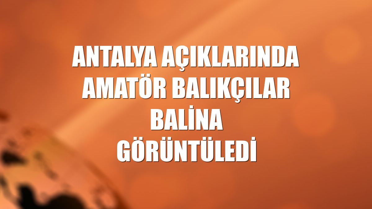 Antalya açıklarında amatör balıkçılar balina görüntüledi