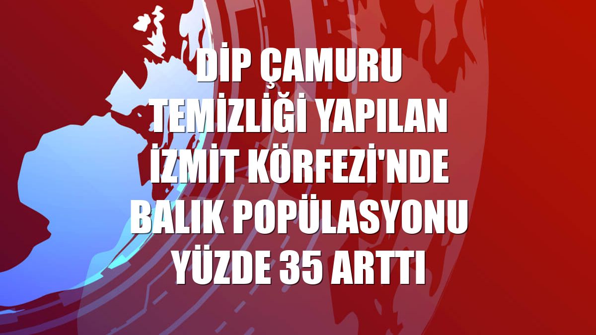Dip çamuru temizliği yapılan İzmit Körfezi'nde balık popülasyonu yüzde 35 arttı