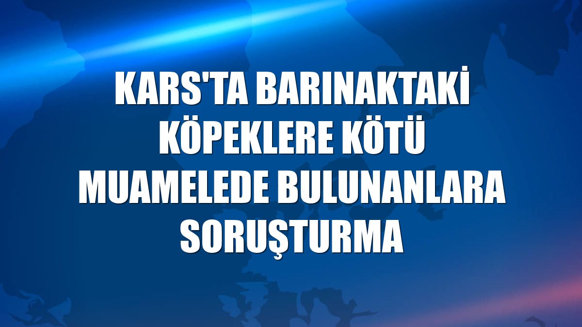 Kars'ta barınaktaki köpeklere kötü muamelede bulunanlara soruşturma
