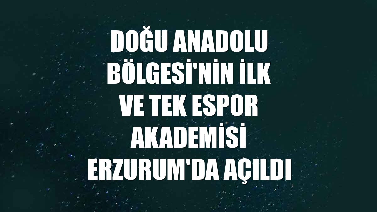 Doğu Anadolu Bölgesi'nin ilk ve tek Espor Akademisi Erzurum'da açıldı
