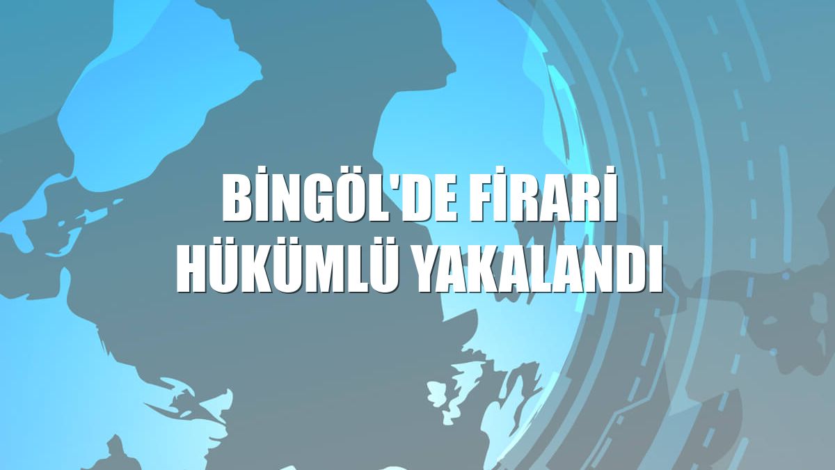 Bingöl'de firari hükümlü yakalandı