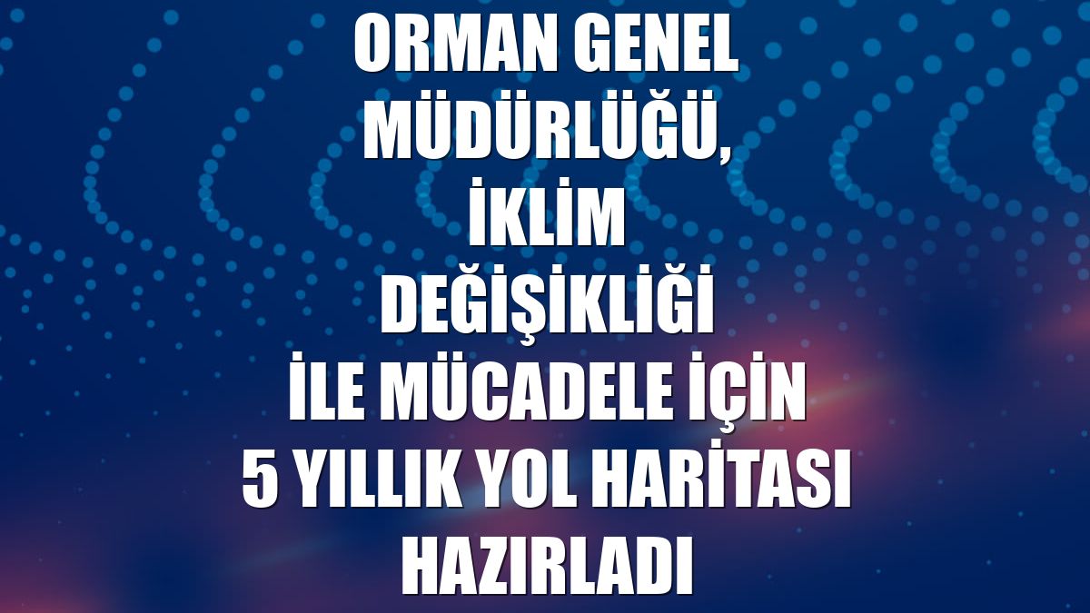 Orman Genel Müdürlüğü, iklim değişikliği ile mücadele için 5 yıllık yol haritası hazırladı