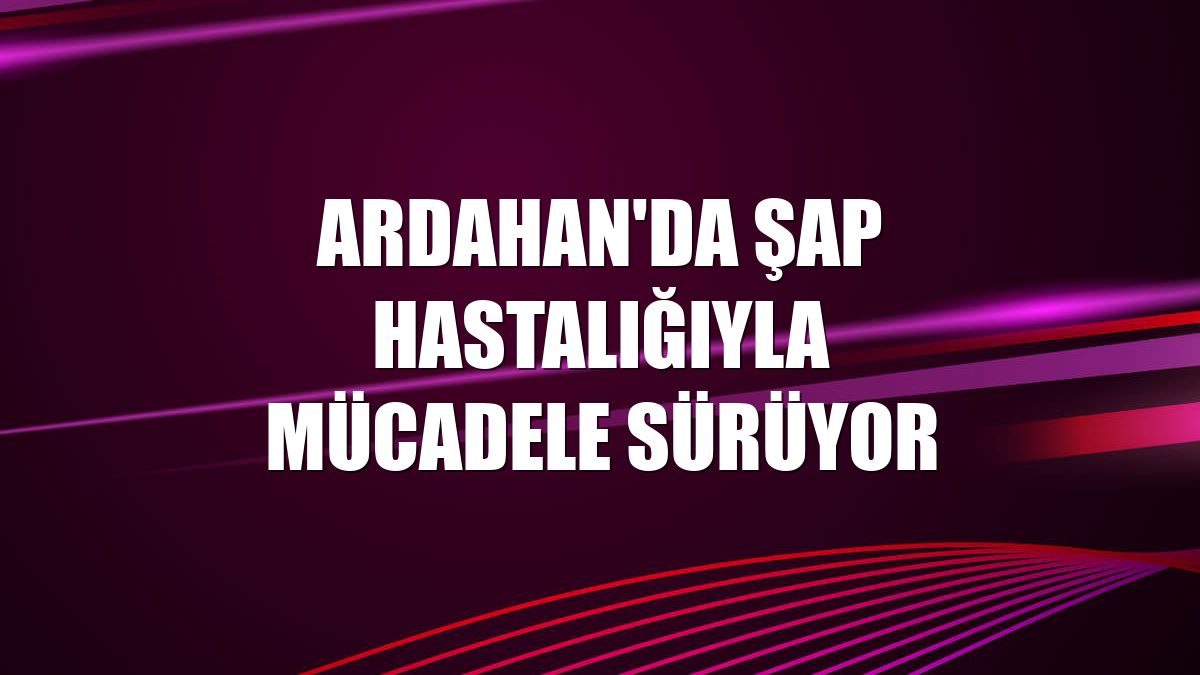Ardahan'da şap hastalığıyla mücadele sürüyor