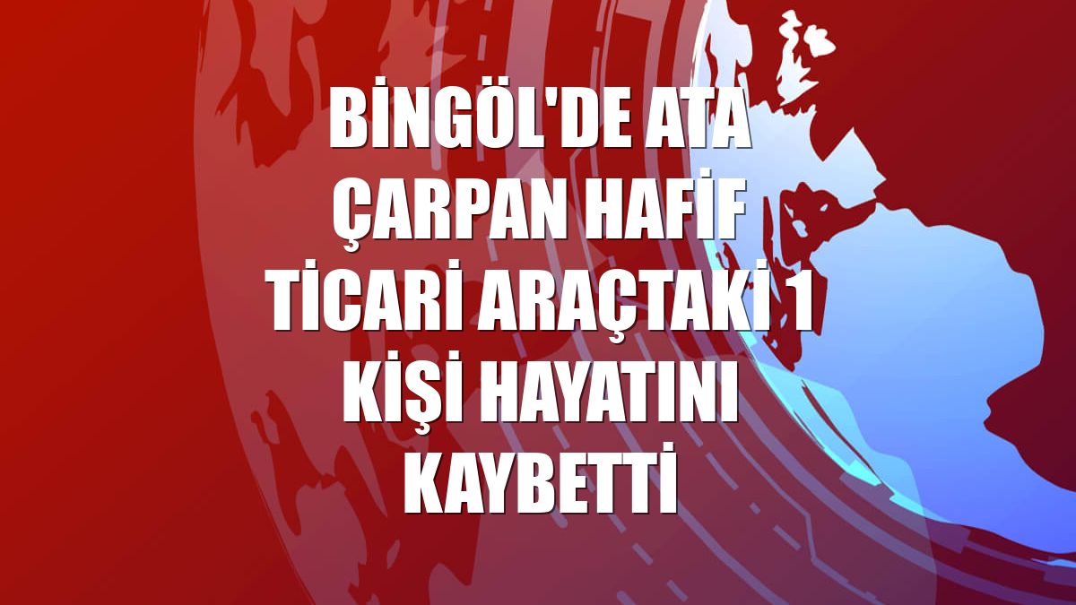 Bingöl'de ata çarpan hafif ticari araçtaki 1 kişi hayatını kaybetti