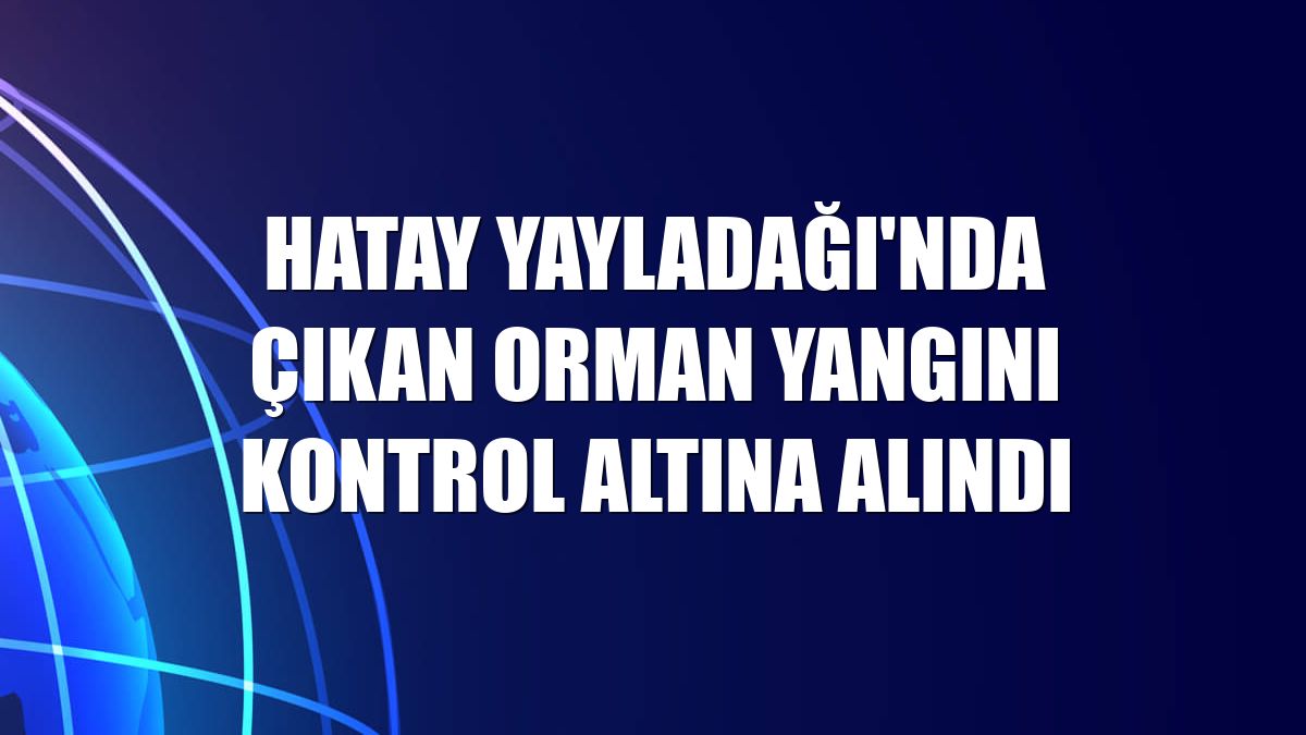 Hatay Yayladağı'nda çıkan orman yangını kontrol altına alındı