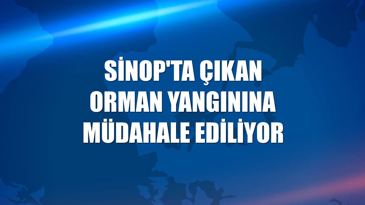 Sinop'ta çıkan orman yangınına müdahale ediliyor