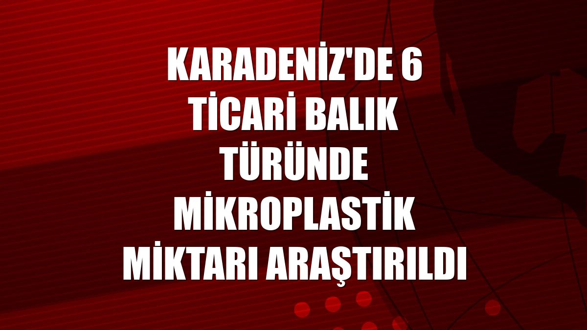 Karadeniz'de 6 ticari balık türünde mikroplastik miktarı araştırıldı