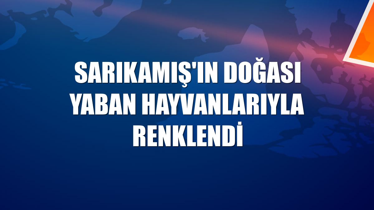 Sarıkamış'ın doğası yaban hayvanlarıyla renklendi