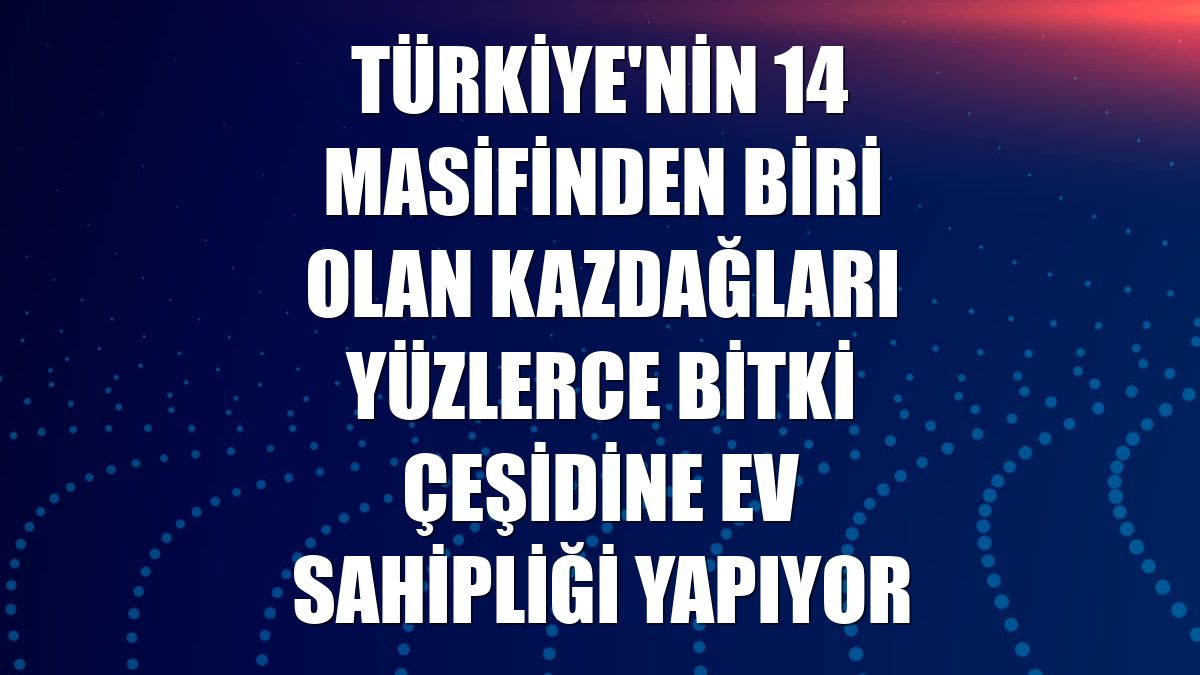 Türkiye'nin 14 masifinden biri olan Kazdağları yüzlerce bitki çeşidine ev sahipliği yapıyor