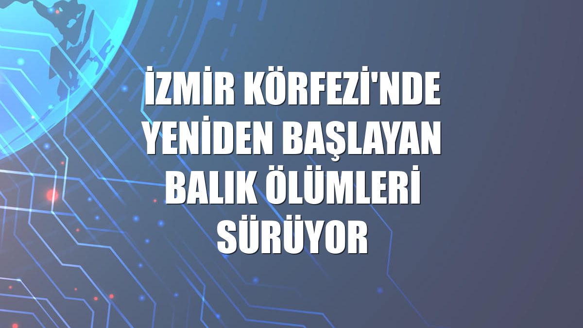 İzmir Körfezi'nde yeniden başlayan balık ölümleri sürüyor