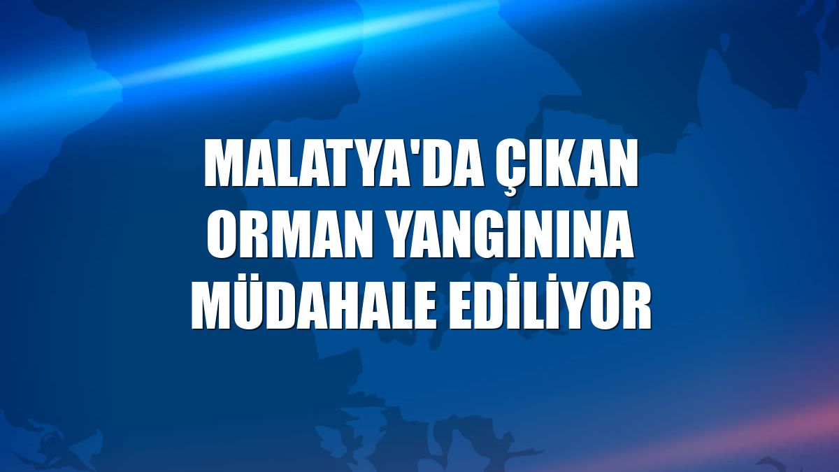 Malatya'da çıkan orman yangınına müdahale ediliyor