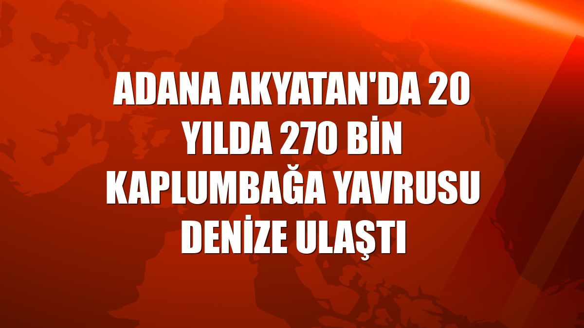Adana Akyatan'da 20 yılda 270 bin kaplumbağa yavrusu denize ulaştı