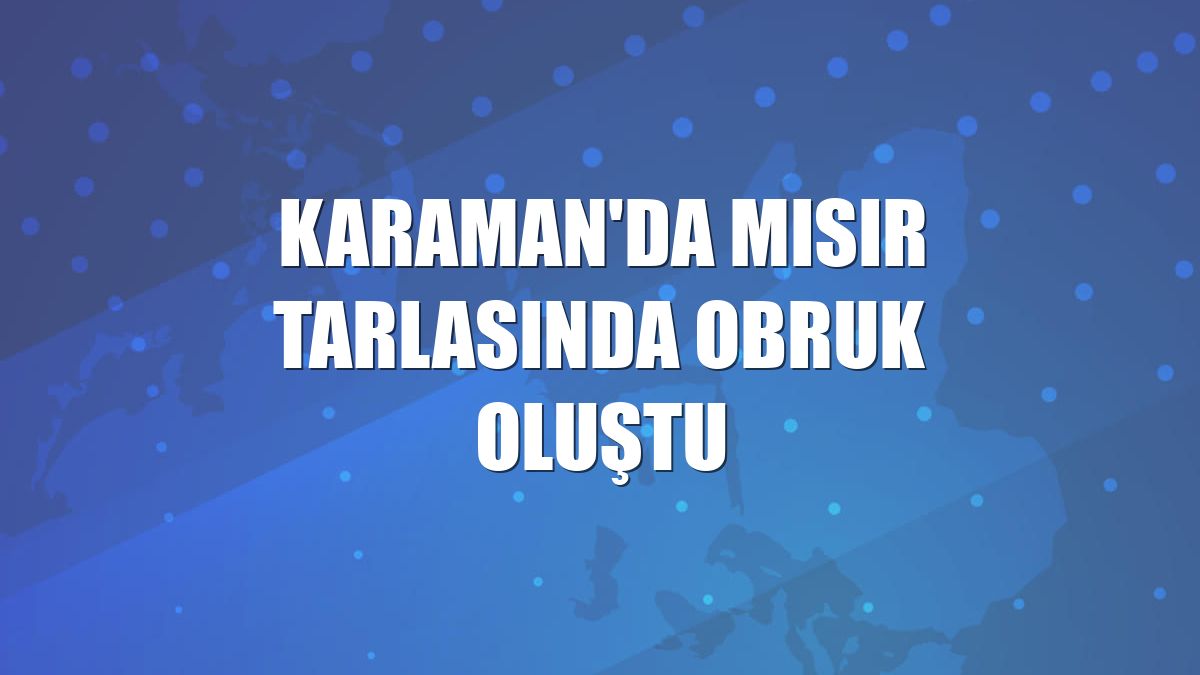 Karaman'da mısır tarlasında obruk oluştu