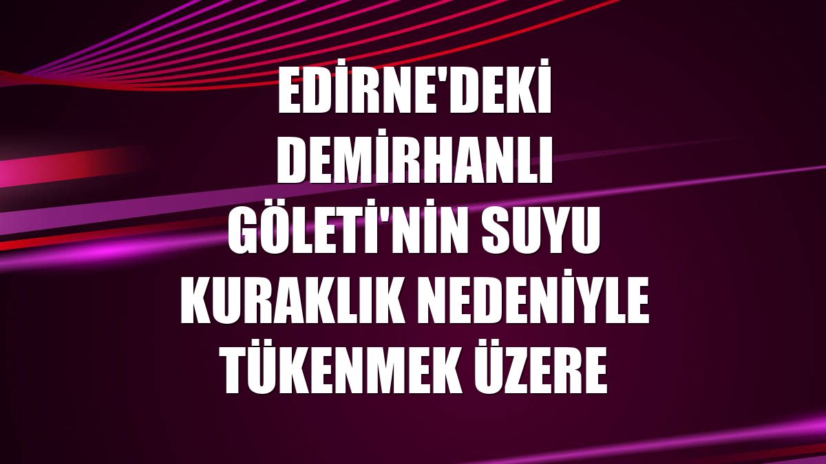 Edirne'deki Demirhanlı Göleti'nin suyu kuraklık nedeniyle tükenmek üzere