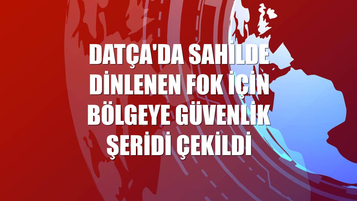 Datça'da sahilde dinlenen fok için bölgeye güvenlik şeridi çekildi
