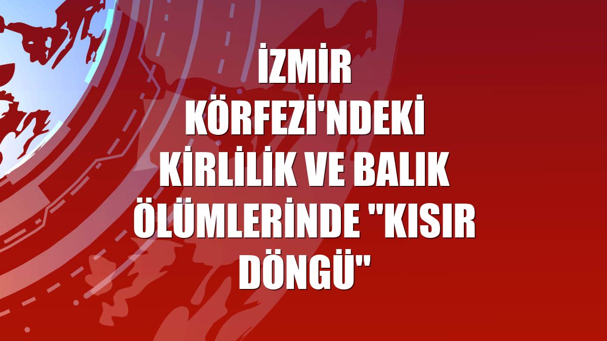 İzmir Körfezi'ndeki kirlilik ve balık ölümlerinde "kısır döngü"
