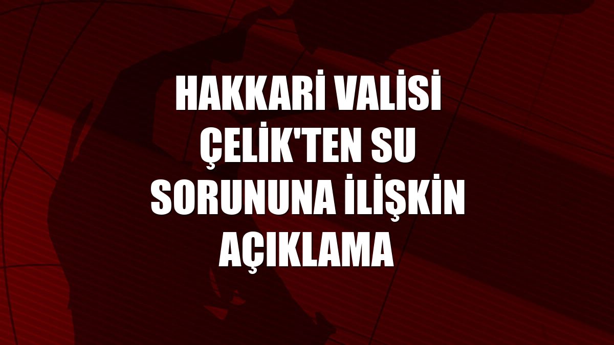 Hakkari Valisi Çelik'ten su sorununa ilişkin açıklama