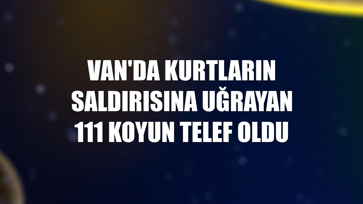 Van'da kurtların saldırısına uğrayan 111 koyun telef oldu