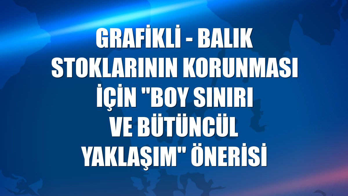 GRAFİKLİ - Balık stoklarının korunması için "boy sınırı ve bütüncül yaklaşım" önerisi
