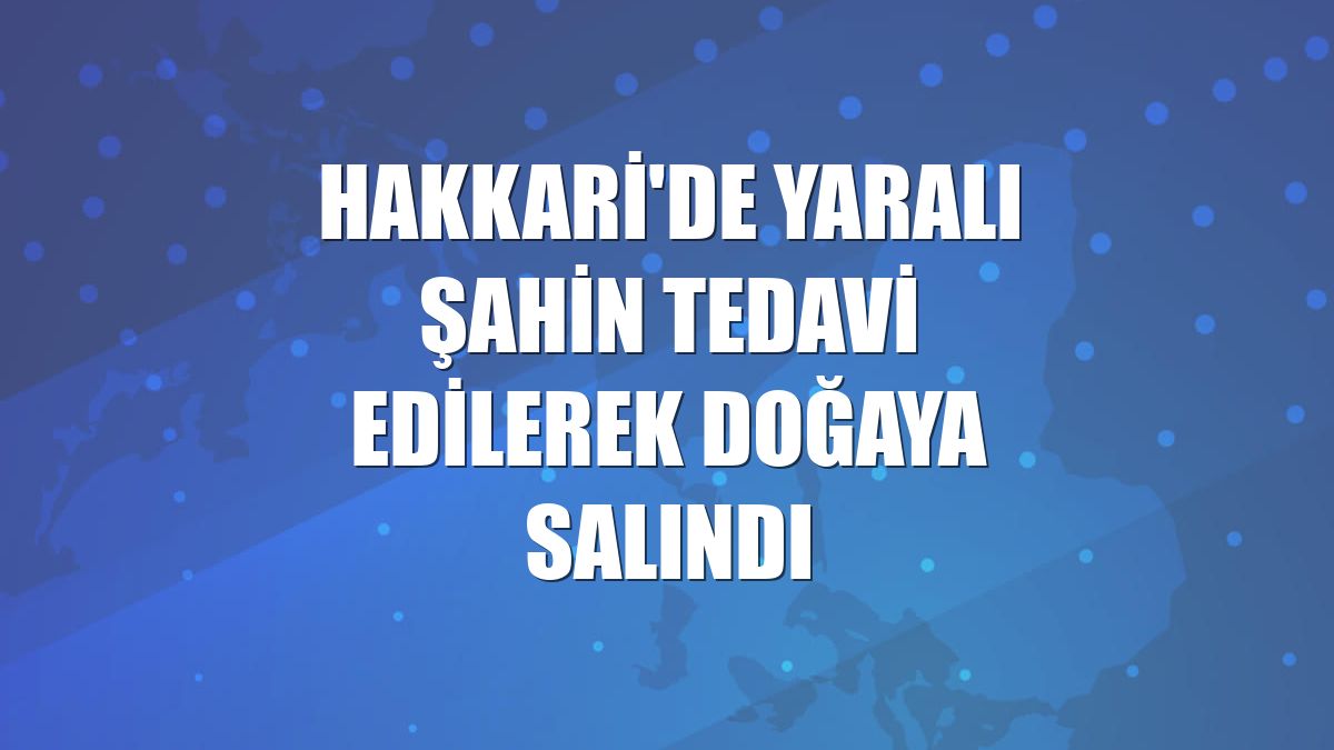 Hakkari'de yaralı şahin tedavi edilerek doğaya salındı