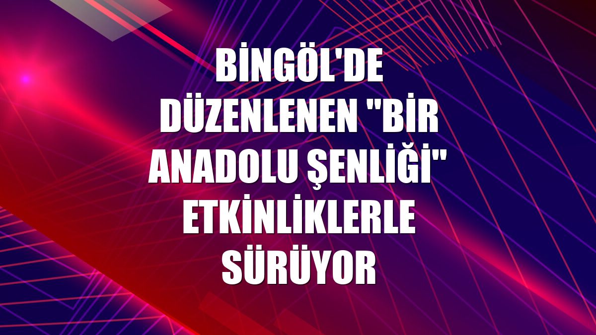Bingöl'de düzenlenen "Bir Anadolu Şenliği" etkinliklerle sürüyor