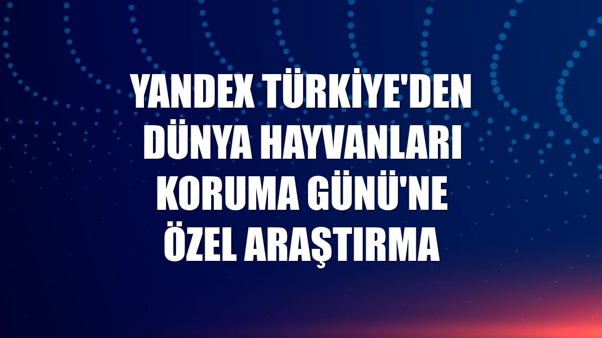 Yandex Türkiye'den Dünya Hayvanları Koruma Günü'ne özel araştırma