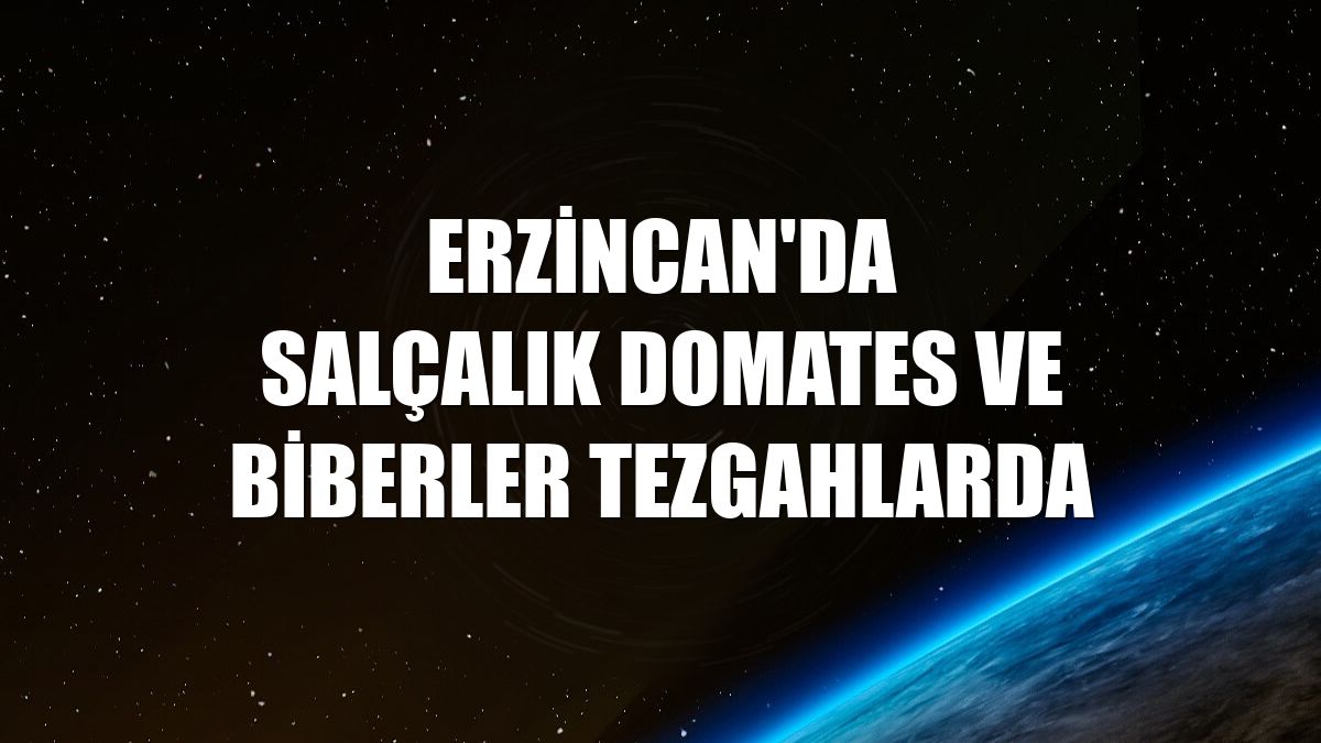 Erzincan'da salçalık domates ve biberler tezgahlarda