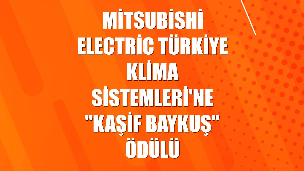 Mitsubishi Electric Türkiye Klima Sistemleri'ne "Kaşif Baykuş" ödülü