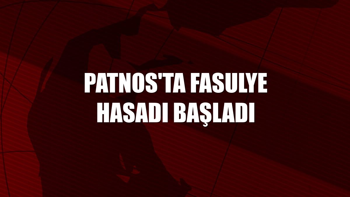 Patnos'ta fasulye hasadı başladı