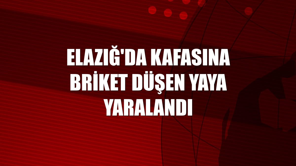 Elazığ'da kafasına briket düşen yaya yaralandı