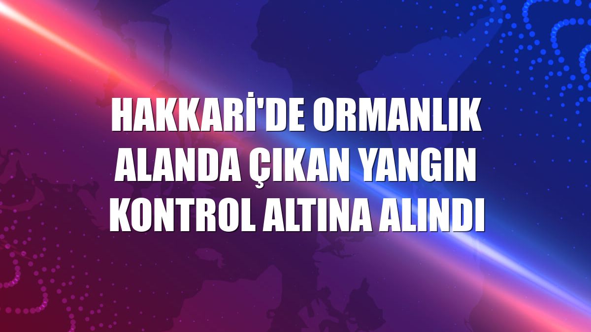 Hakkari'de ormanlık alanda çıkan yangın kontrol altına alındı