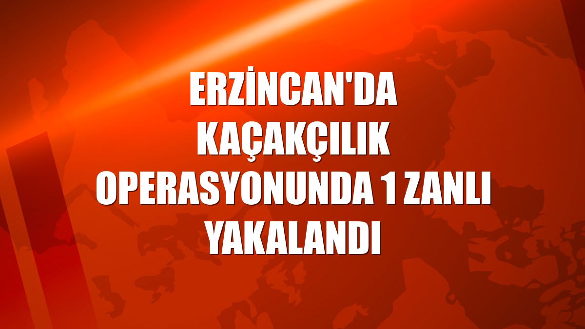 Erzincan'da kaçakçılık operasyonunda 1 zanlı yakalandı