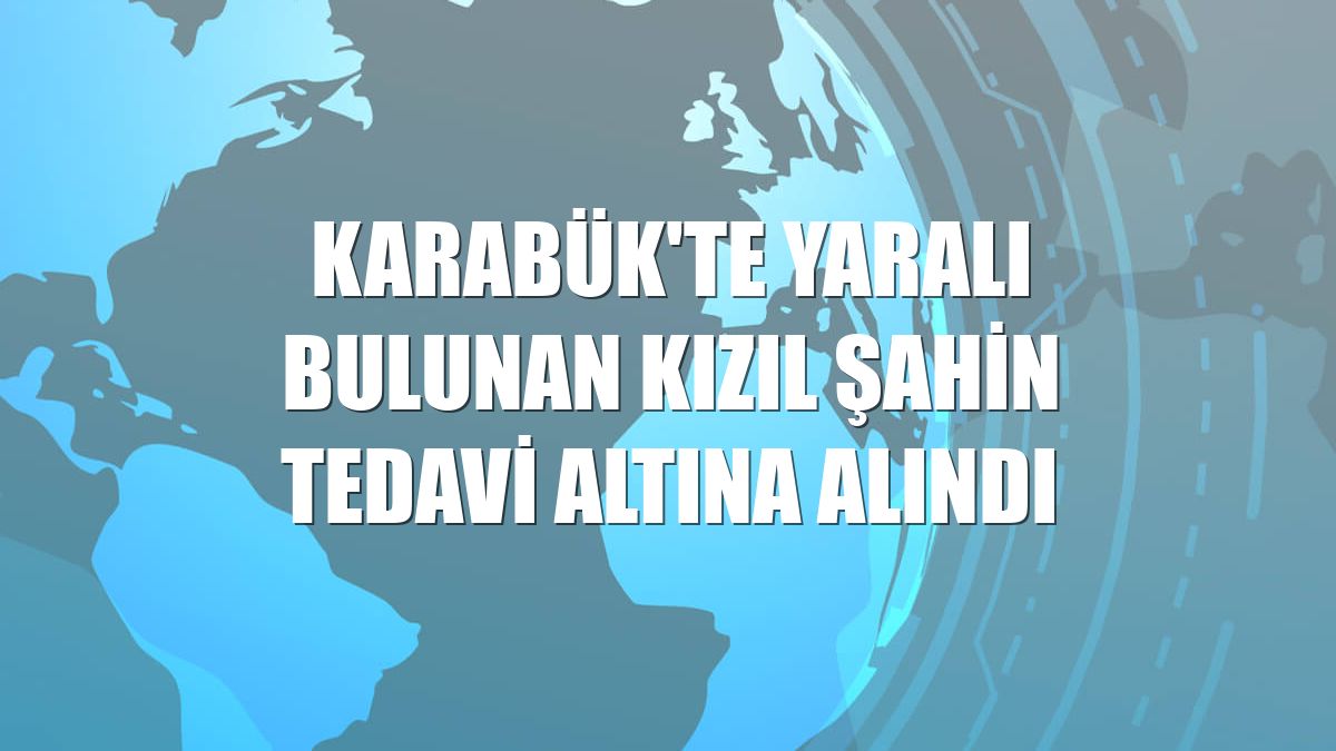 Karabük'te yaralı bulunan kızıl şahin tedavi altına alındı