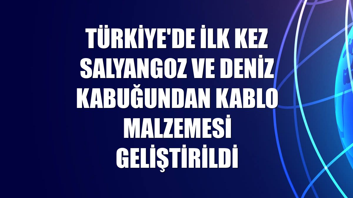 Türkiye'de ilk kez salyangoz ve deniz kabuğundan kablo malzemesi geliştirildi