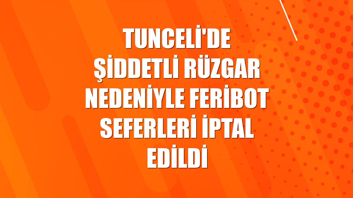 Tunceli'de şiddetli rüzgar nedeniyle feribot seferleri iptal edildi