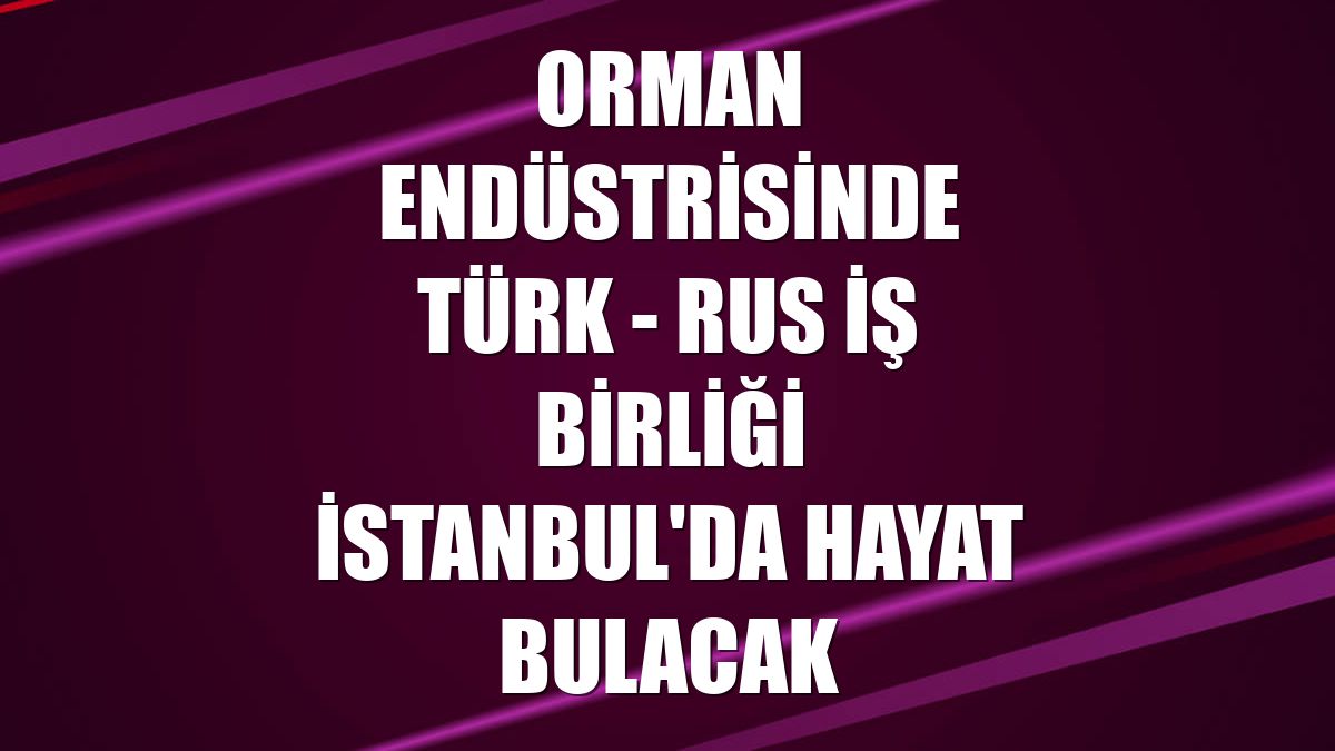 Orman endüstrisinde Türk - Rus iş birliği İstanbul'da hayat bulacak