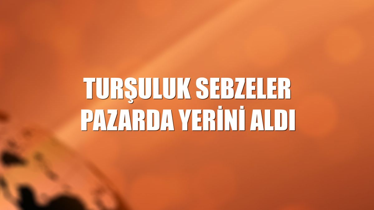 Turşuluk sebzeler pazarda yerini aldı