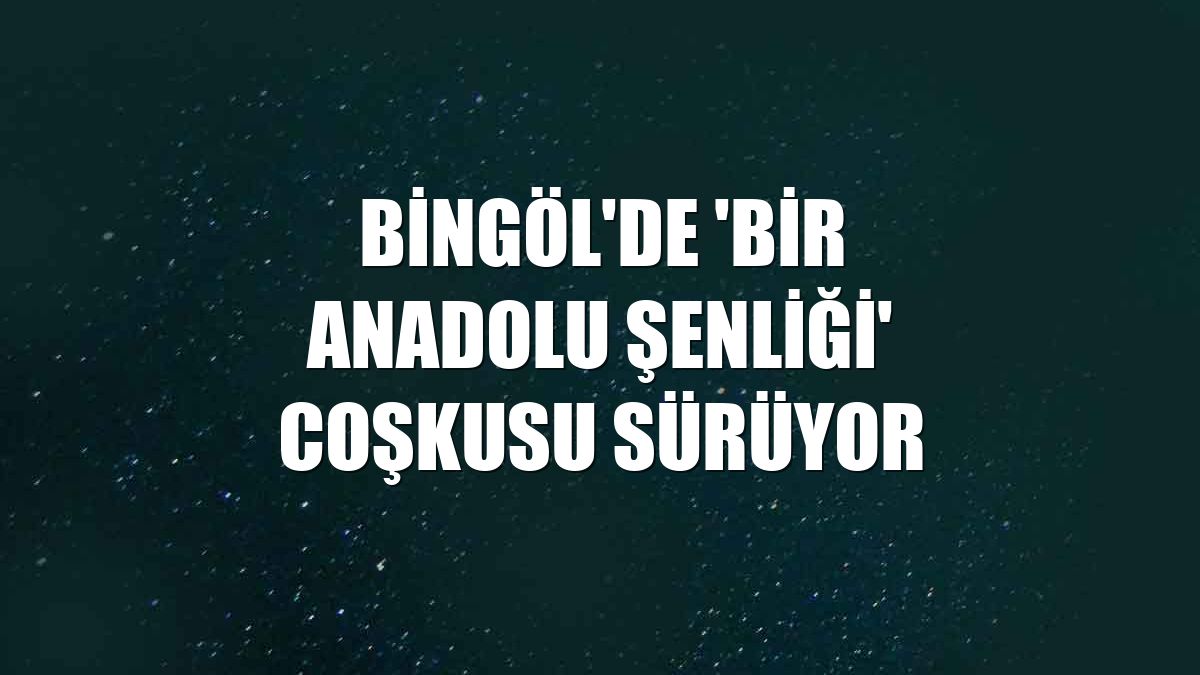 Bingöl'de 'Bir Anadolu Şenliği' coşkusu sürüyor