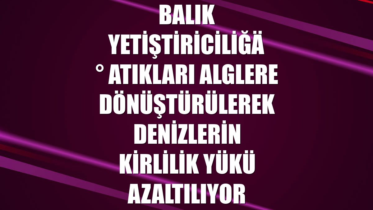 Balık yetiştiriciliği atıkları alglere dönüştürülerek denizlerin kirlilik yükü azaltılıyor