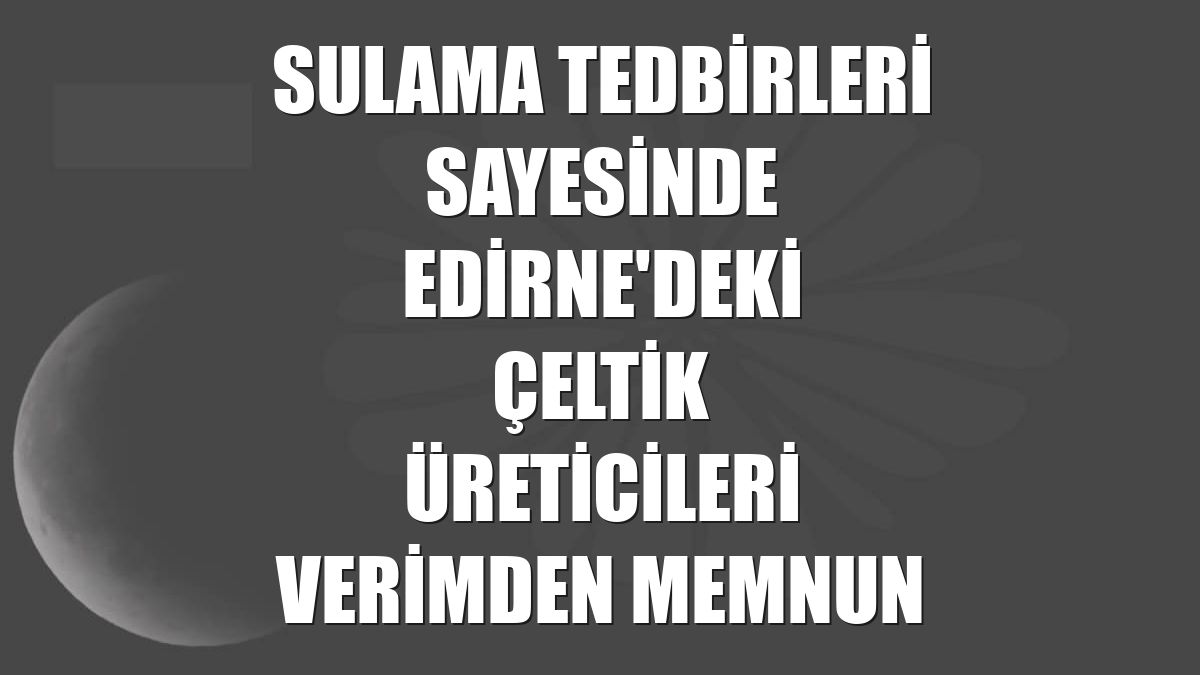 Sulama tedbirleri sayesinde Edirne'deki çeltik üreticileri verimden memnun