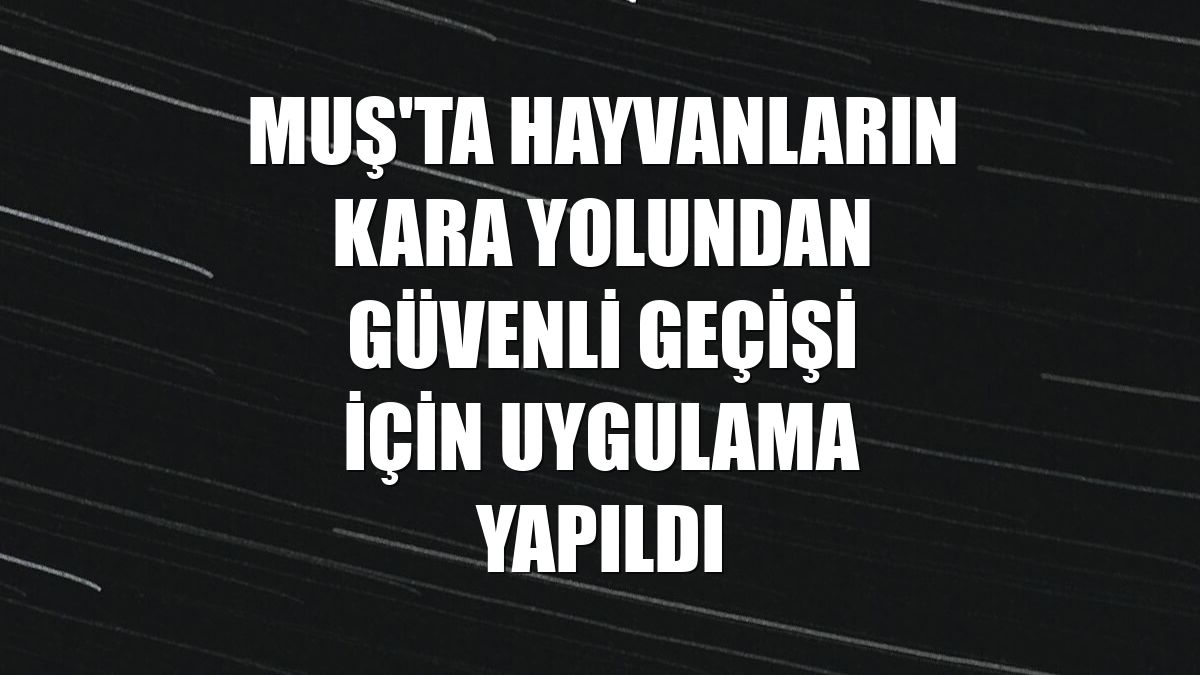 Muş'ta hayvanların kara yolundan güvenli geçişi için uygulama yapıldı