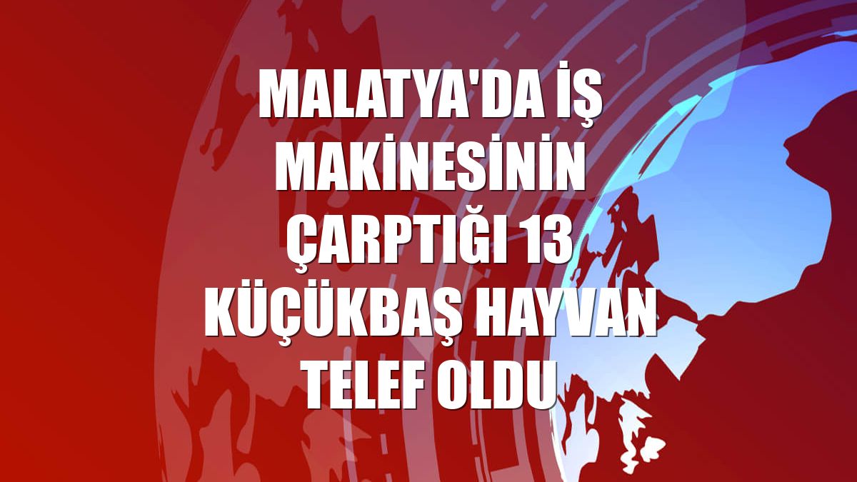 Malatya'da iş makinesinin çarptığı 13 küçükbaş hayvan telef oldu