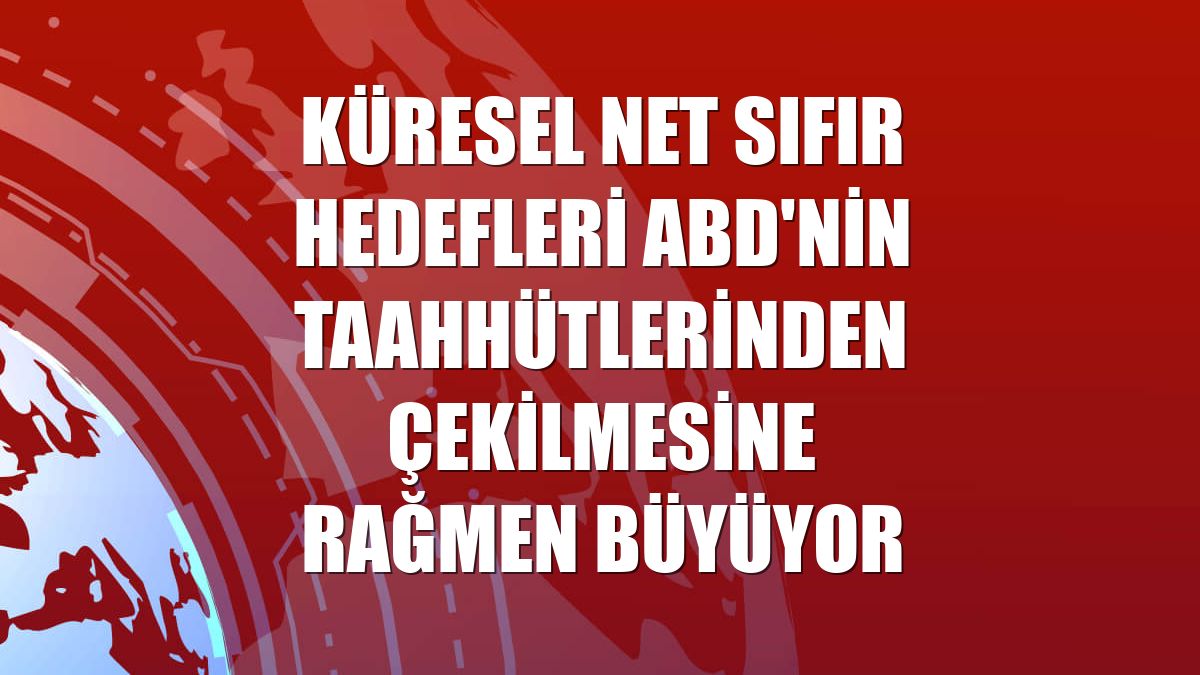 Küresel net sıfır hedefleri ABD'nin taahhütlerinden çekilmesine rağmen büyüyor