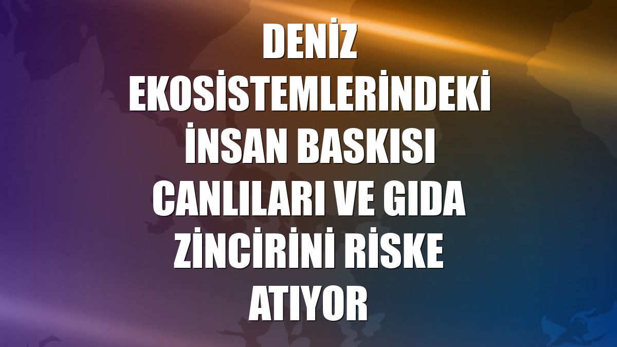 Deniz ekosistemlerindeki insan baskısı canlıları ve gıda zincirini riske atıyor
